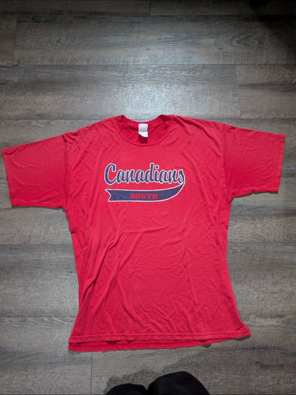 Canada Goose Red 'Canadians South' Graphic Tee